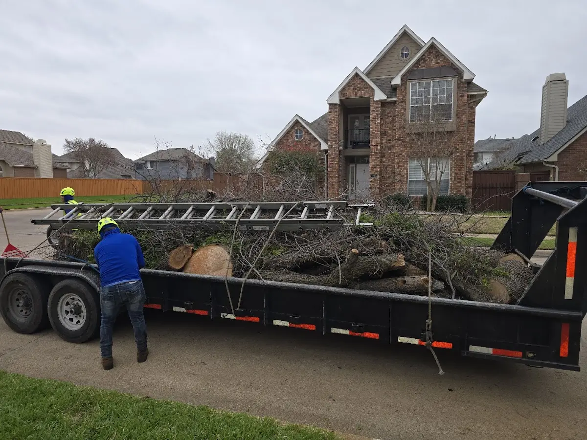 Expert Tree Fertilization with proper safety equipment in Hanston